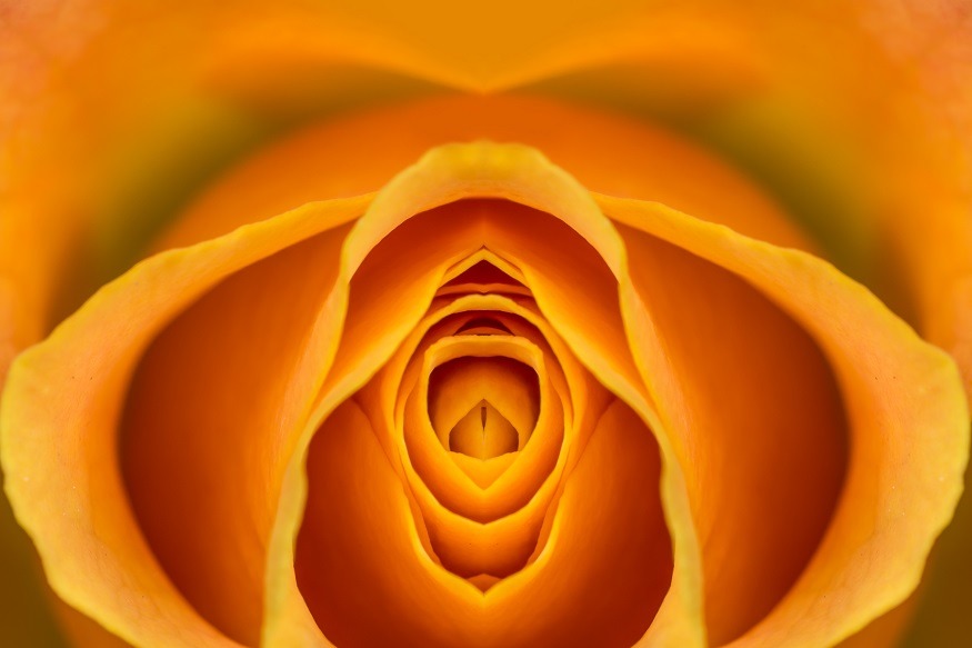 orgasm flower